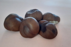 Divlji kesten najbolji lijek protiv proširenih vena i hemoroida