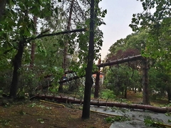 Oluja rušila stabla i u Banji Dvorovi: Bazeni sutra neće raditi (FOTO) 