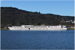 Kruzer udario u betonski zid na Dunavu, 17 povrijeđenih