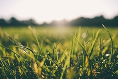 Danas još toplije, temperatura i do 38 stepeni Celzijusovih