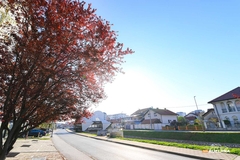 Sutra sunčano i veoma toplo, temperatura do 36 stepeni