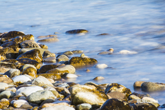 Danas sunčano i veoma toplo