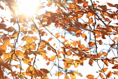 Danas toplo i promjenljivo oblačno