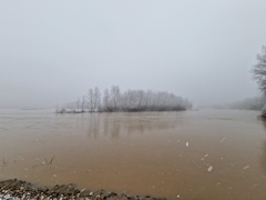 Opadaju vodostaji većih rijeka osim Save 