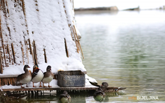 Meteorolozi upozorili: Pripremite se za snijeg večeras