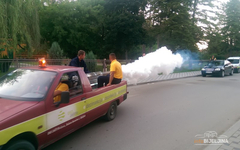 Bijeljina: Zaprašivanje komaraca u gradskim naseljima