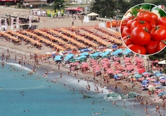 Snimio šta jede na jednoj od omiljenih plaža Srba na Jadranu, ljudi oduševljeno komentarišu
