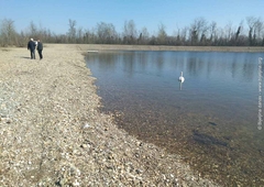 Bijeljina: Ko je "bacio oko" na Švapske ade?!