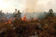 Aktivni požari na području Bileće i Gacka