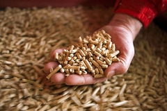 Pelet iz Srpske ponovo ide u Srbiju: Dobra vijest za proizvođače, loša za kupce