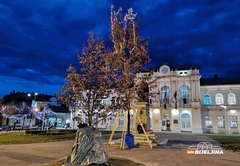 Bijeljina: Sve spremno za Badnje veče (FOTO)