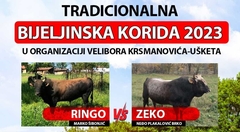 Tradicionalna korida početkom jula u Bijeljini