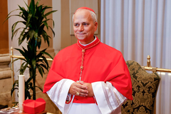 Novi papa je Amerikanac, Robert Prevost