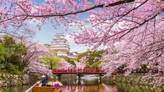 Zašto je Japan najljepše posjetiti kada cvjetaju trešnje?