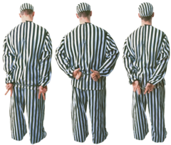 Ni policija nije znala šta ih čeka: Najčudniji i najopasniji slučajevi sa terena