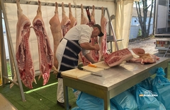 Provjerili smo: Koliko u Semberiji koštaju tovljenici i polutke, a od čega strahuju farmeri?