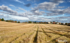 Semberski poljoprivrednici traže koncesije : Državna zemlja se dijeli po kafanama
