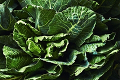 Raštan, niskokalorična riznica zdravlja