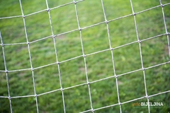 Fudbalski savez apelovao da se dozvoli nastavak takmičenja u Srpskoj