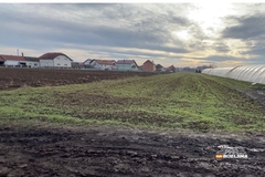 Danas sunčano uz naoblačenje tokom dana