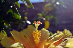 Danas umjereno oblačno, poslije podne ponegdje kiša