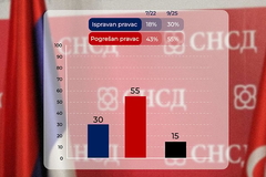 Mediji objavili istraživanje SNSD-a: Kome su najveće šanse za pobjedu, kako kotira Ljubiša Petrović?
