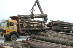 Slijede smjene u šumskim gazdinstvima u Srpskoj koja su negativno poslovala