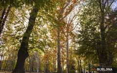 Danas sunčano, temperatura do 19 stepeni