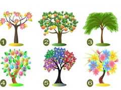 Brzi test ličnosti: Izaberite jedno drvo i saznajte šta otkriva o vama