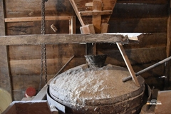 Sestre iz Ugljevika brinu o vodenici staroj 87 godina: Roditelji dovode djecu koja imaju problema sa govorom (FOTO)