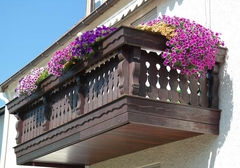 Trik koji morate probati: Zalijte cvijeće ovim napitkom i ima da raste kao ludo