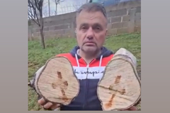 Božiji znak u Banjaluci: Boško presjekao drvo, a na njemu se ukazao krst