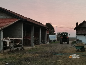 Ima li u semberskim selima budućnosti za mlade: “Imao sam ponudu za Njemačku, ali se i ovdje može solidno živjeti” /FOTO/