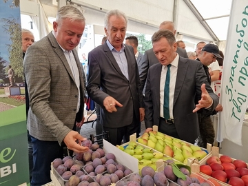 Vasilije Perić: Šljiva je izvozni brend Podmajevice FOTO