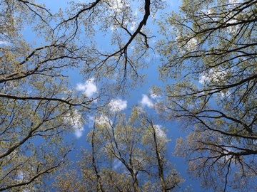 Sutra sunčano i toplo, uz postepeno naoblačenje