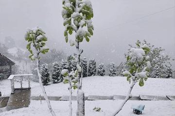 Snijeg zabijelio Hrvatsku, stigla velika promjena vremena (FOTO)