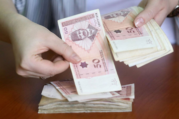 Dijaspora poslala više novca u BiH