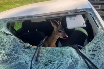 Srndać razbio šajbu i uletio u auto, vozač povrijeđen