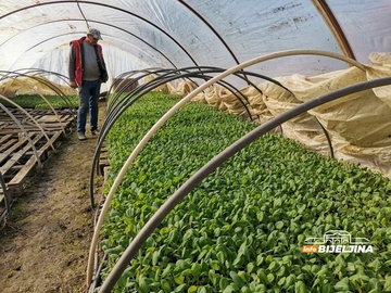 Počela sezona za povrtare: Uvoz obara cijenu, a potražnja smanjena