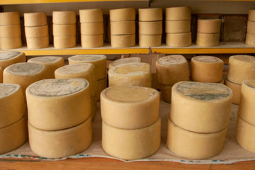 Policajac ukrao 180 kilograma sira i dobio otkaz