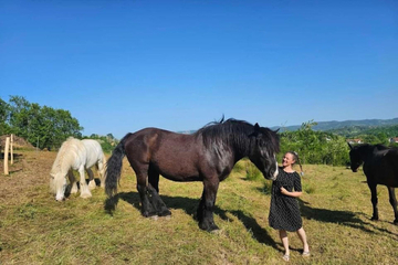 Danijel i Alina Njemačku su zamijenili Prnjavorom (FOTO)