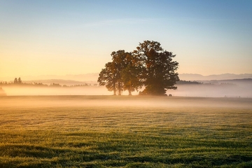 Danas sunčano i toplije