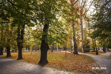 Danas sunčano i toplo