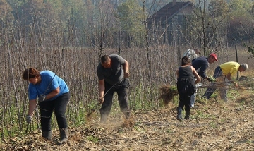 U Srpskoj će i SEZONCI plaćati doprinose