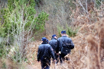 Muškarac stradao tokom sječe drva