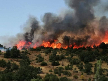 Gori Sjeverna Makedonija: Požari stigli do predgrađa Skoplja