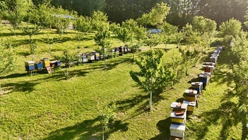 Tešići iz Donje Trnove se generacijama bave pčelarstvom: Nakon api komora u planu prenoćište i restoran (FOTO)