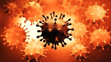Virus majmunskih boginja manje prenosiv od korone