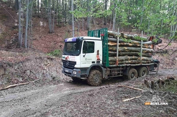 Bh. drvna industrija ima ogromne rezultate, ali i veliki izazov