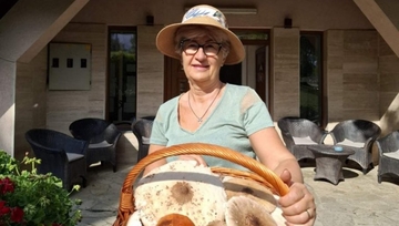 Divčibare prepune gljiva: Sunčanice i vrganji privlače gljivare iz cijelog kraja